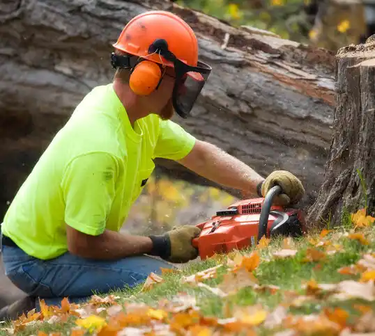 tree services Calumet